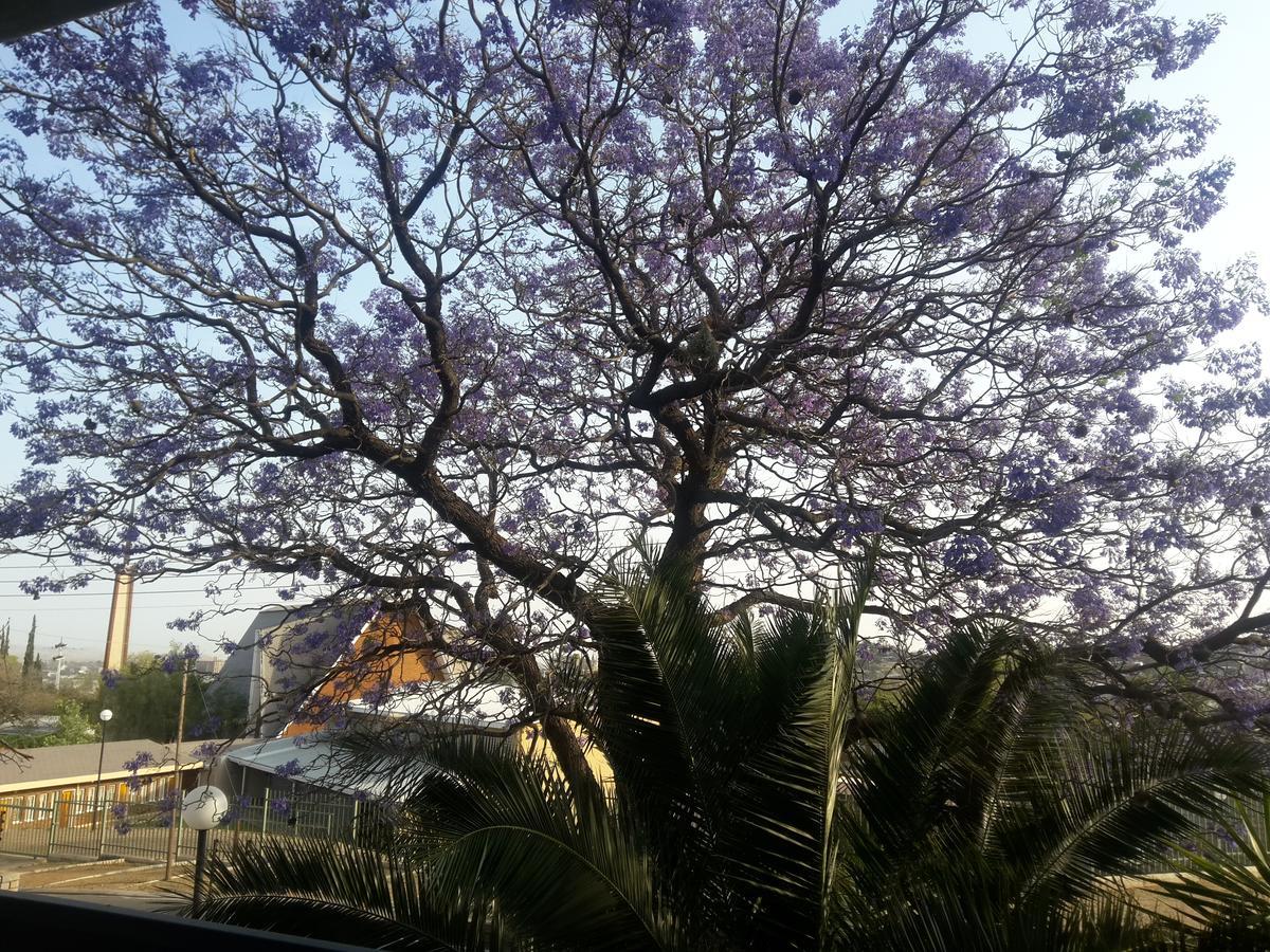 Hotel Suiderhof Self-Catering Windhoek Esterno foto