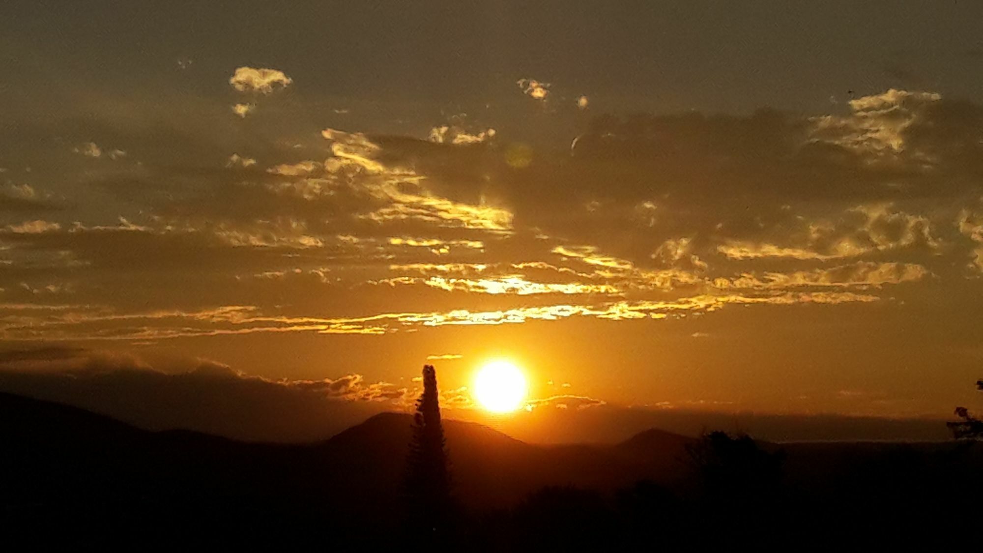 Hotel Suiderhof Self-Catering Windhoek Esterno foto