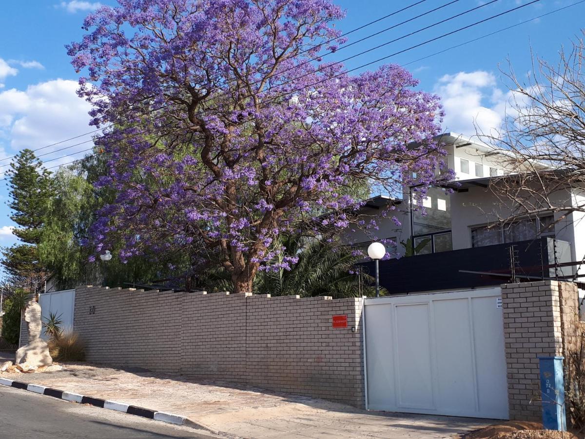 Hotel Suiderhof Self-Catering Windhoek Esterno foto